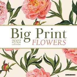 Large Print 2025 Wall Calendar